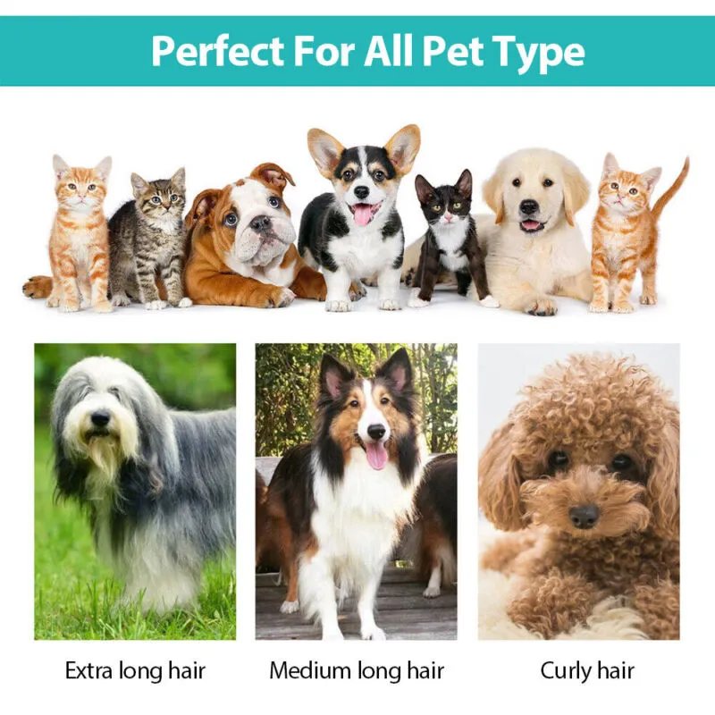 6 in 1 Pet Grooming Vacuum Kit