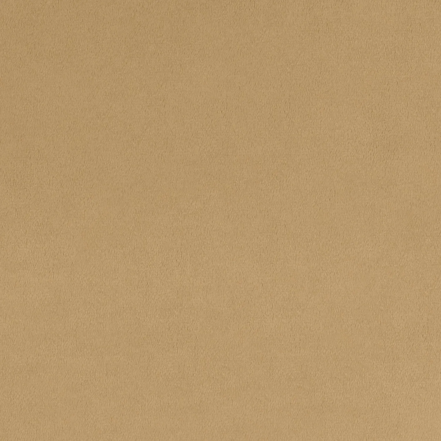 Cuddle Extra Wide - Cuddle Extra Wide Sand Yardage