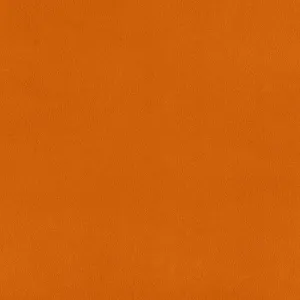 Cuddle® Extra Wide - Ginger Minky Yardage