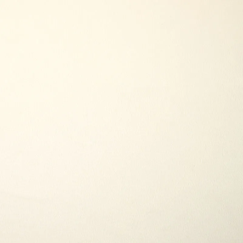 Cuddle® Extra Wide - Ivory 90" Minky Yardage