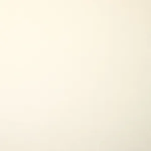 Cuddle® Extra Wide - Ivory 90" Minky Yardage