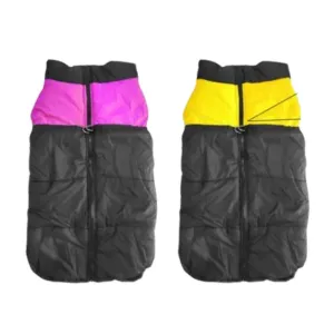 Dog Neon Stripe Zip Jacket