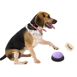 Funki Buys | Pet Toys | Recordable Button Learning Aid for Kids, Pets