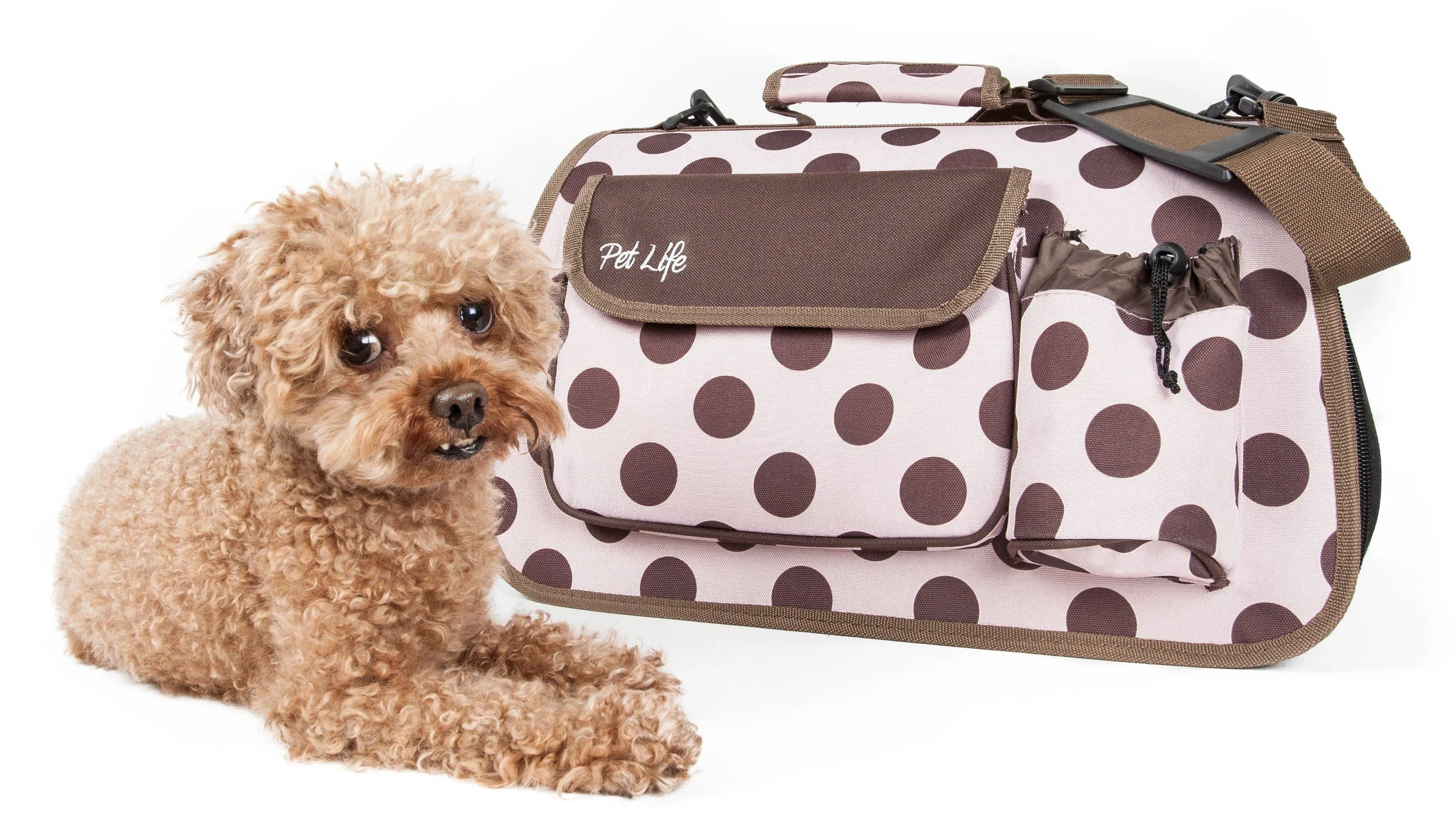 Pet Life Airline Approved Folding Zippered Casual Pet Carrier