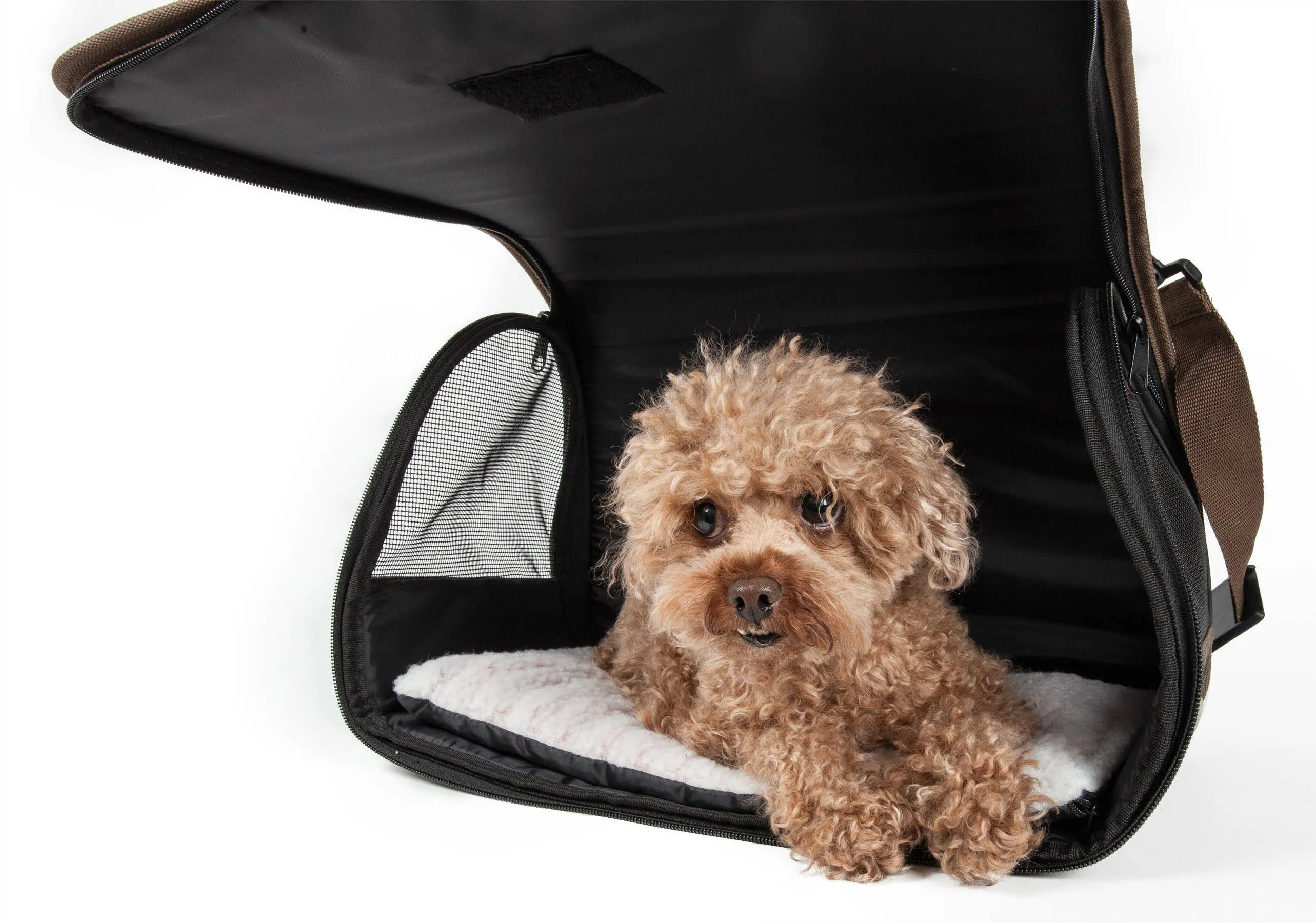 Pet Life Airline Approved Folding Zippered Casual Pet Carrier