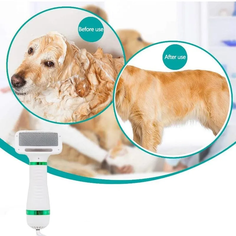 Portable Brush & Dryer