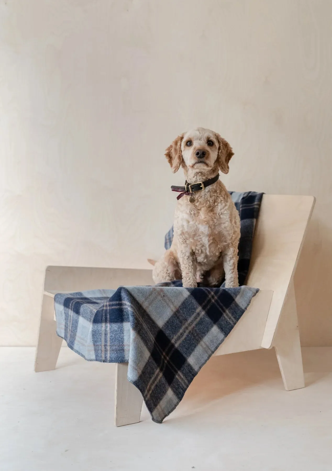 Recycled Wool Pet Blanket in Bannockbane Silver Tartan