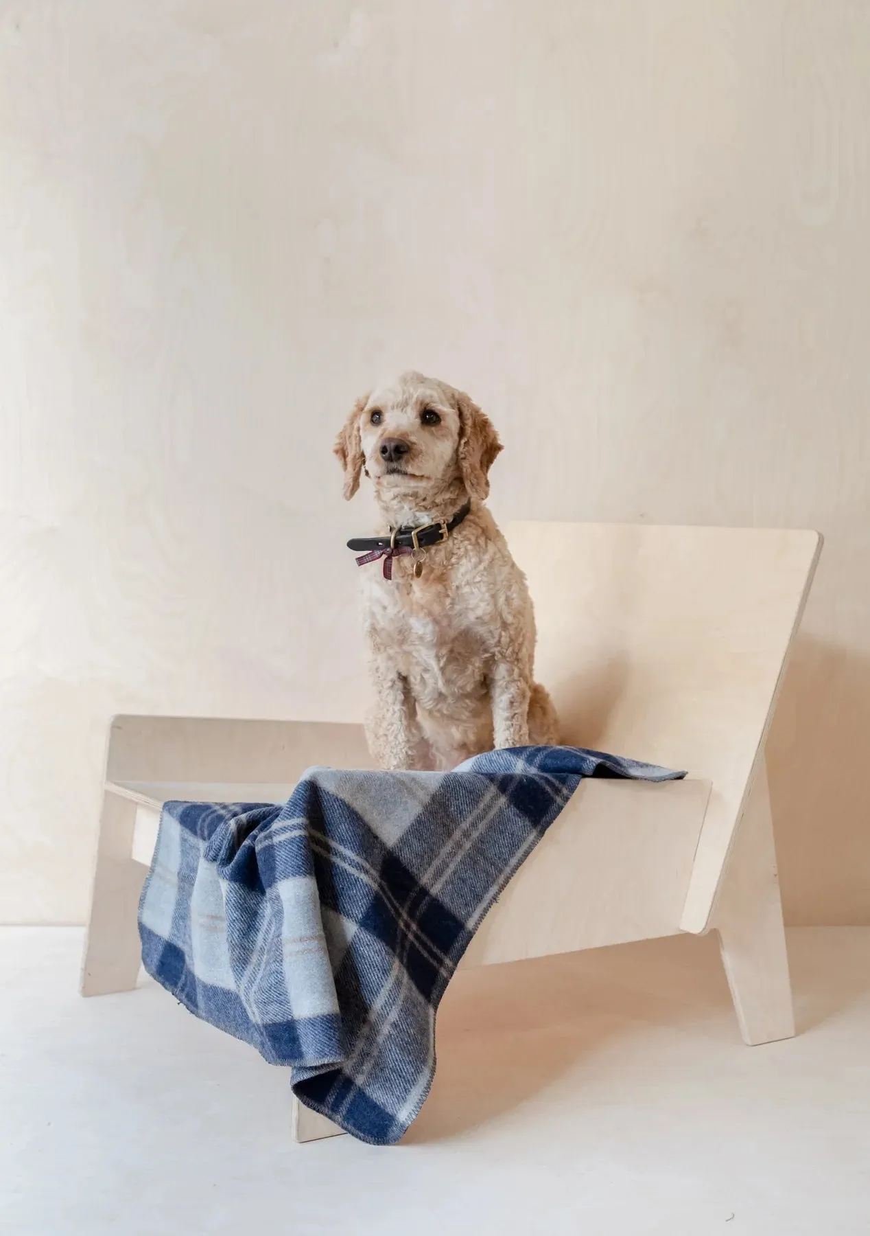 Recycled Wool Pet Blanket in Bannockbane Silver Tartan