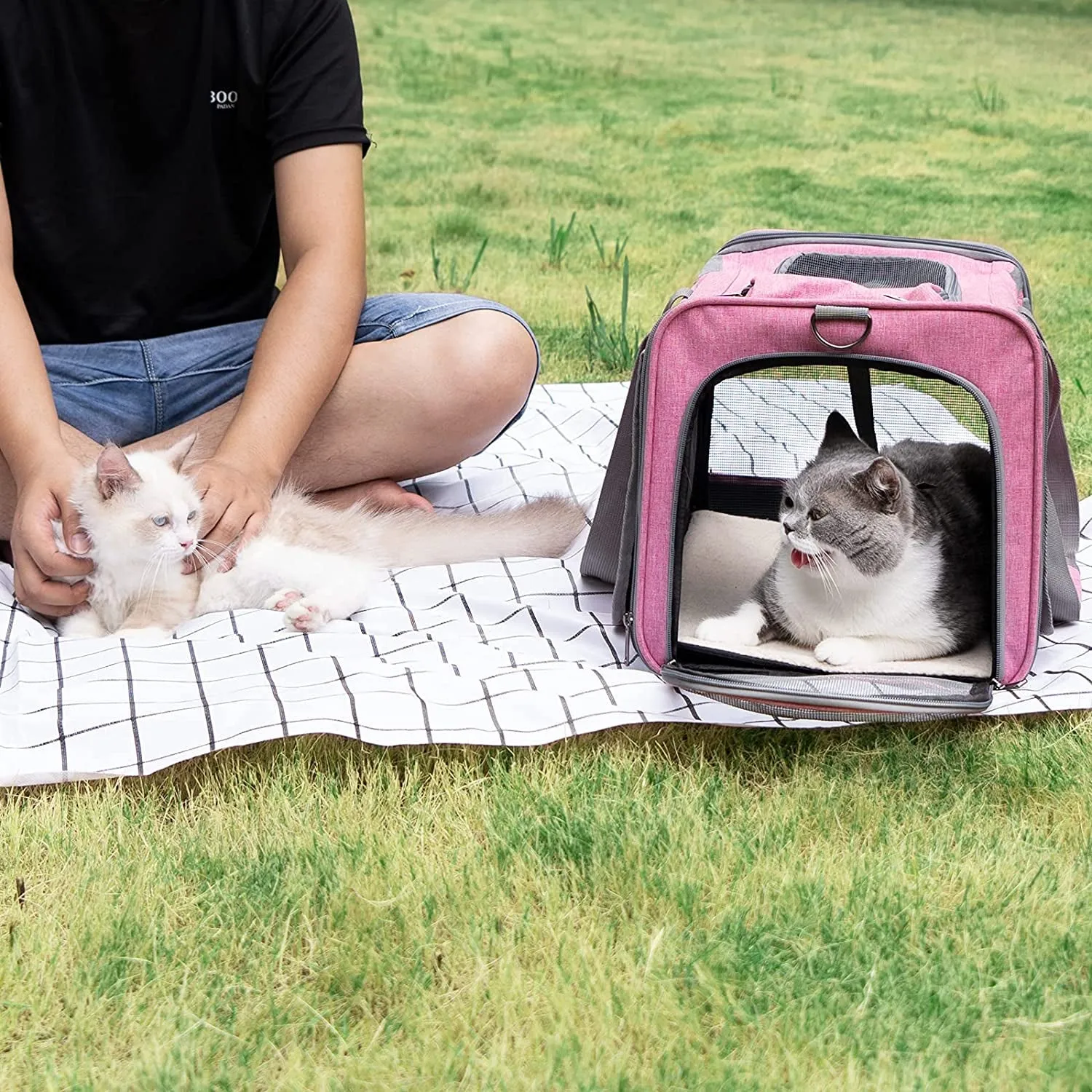 Spacious Soft-Sided Pet Carrier