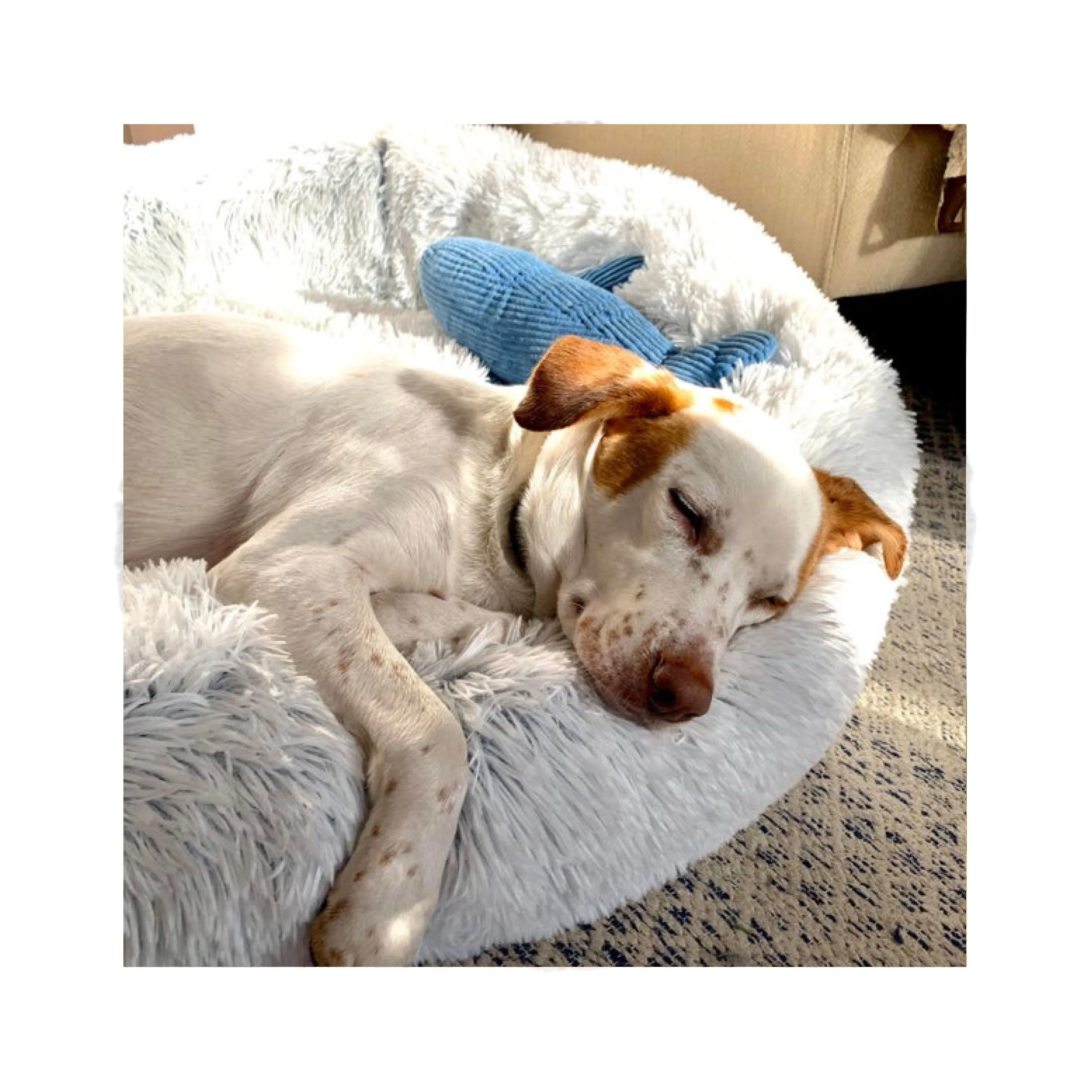 Tall Tails Cuddle Donut Bed Frosted Grey/ White